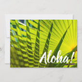 Palm Fan, Kilauea, Kauai, Hawaii Kaart (Voorkant)
