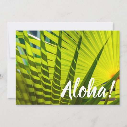 Palm Fan, Kilauea, Kauai, Hawaii Kaart (Voorkant)
