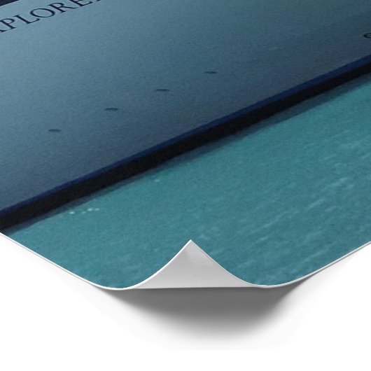 Palm Framed Bow Poster (Hoek)