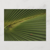 Palm Frond Briefkaart (Voorkant)