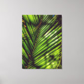 Palm Frond, Pine Needles and Shadows Canvas Print (Voorkant)
