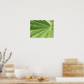 Palm Frond Poster (Keuken)