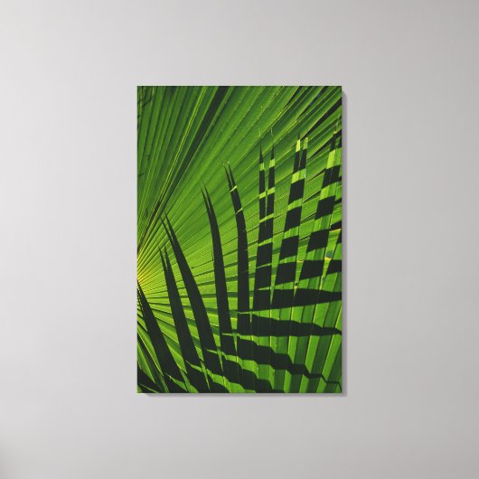 Palm Frond Print op Canvas (Voorkant)