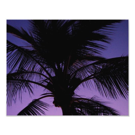 Palm Frond Silhouette Foto Afdruk (Voorkant)