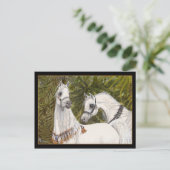 Palm Grove Arabian horse briefkaart (Staand voorkant)
