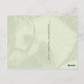 Palm Grove Arabian horse briefkaart (Achterkant)