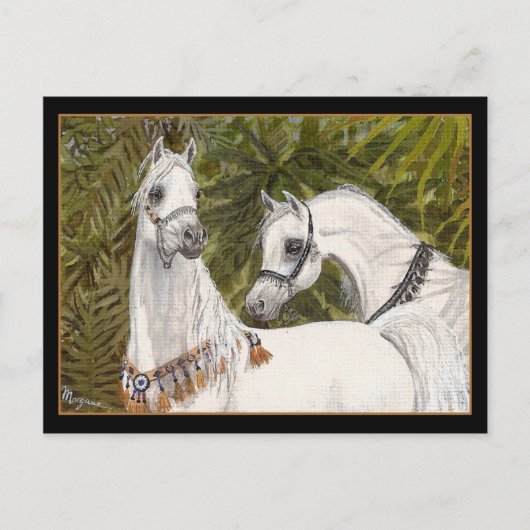 Palm Grove Arabian horse briefkaart (Voorkant)