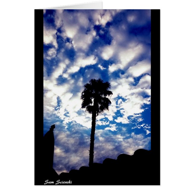 Palm in de wolken (Voorkant)