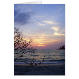 Palm Island Sunset 1