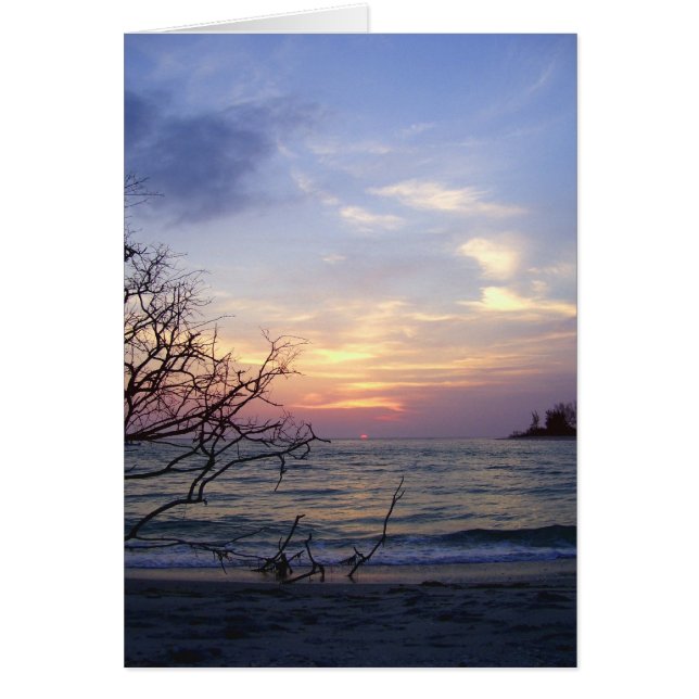 Palm Island Sunset 1 (Voorkant)