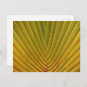 Palm Leaf Briefkaart (Voorkant / Achterkant)