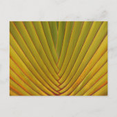 Palm Leaf Briefkaart (Voorkant)