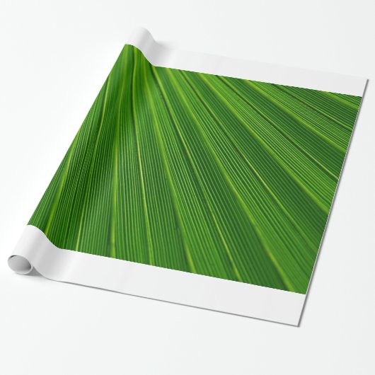 Palm Leaf Cadeaupapier (Uitgerold)
