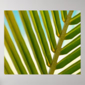 Palm Leaf-foto Poster (Voorkant)