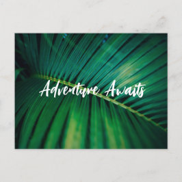 Palm Leaf Post Kaart