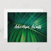 Palm Leaf Post Kaart (Voorkant / Achterkant)