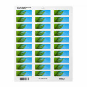Palm Leaves Blue Sky Elegant Calligraded Sjabloon Etiket (Full Sheet)