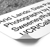 Palm Leaves nabij Palm Desert door Ansel Adams Poster (Hoek)