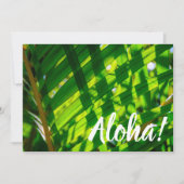 Palm Leaves Pset, Kapaa, Kauai, Hawaii Kaart (Voorkant)