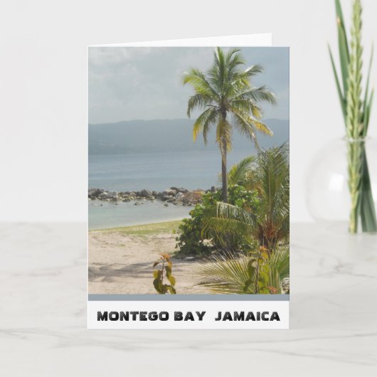 Palm, Montego Bay Jamaïca Juni 2011 Kaart (Voorkant)