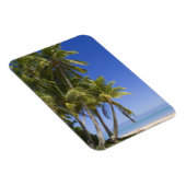 Palm omzoomd strand Cook Eilanden 3 Magneet (Rechterzijde)