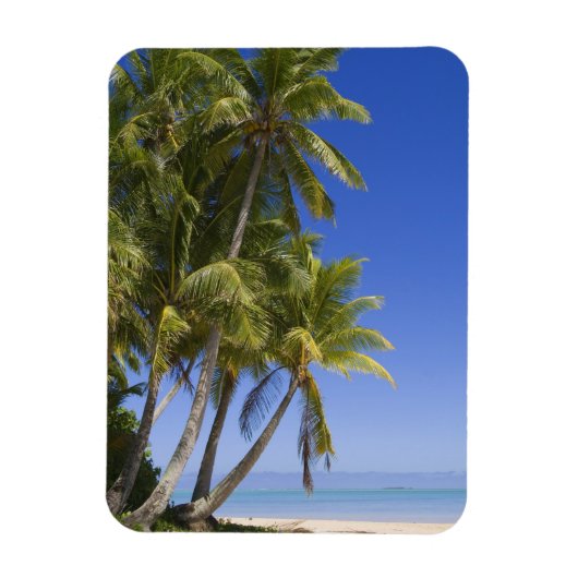 Palm omzoomd strand Cook Eilanden 3 Magneet (Verticaal)