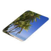 Palm omzoomd strand Cook Eilanden 3 Magneet (Linkerzijde)