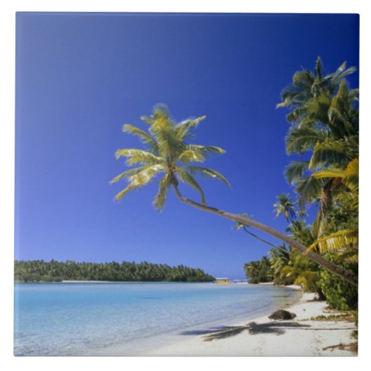Palm omzoomd strand Cook Eilanden Tegeltje (Voorkant)