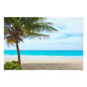 Palm op de strand foto afdruk (Voorkant)