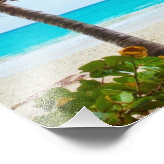 Palm op de strand foto afdruk (Hoek)