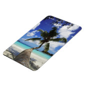 Palm op het eiland Seychellen, Praslin Magneet (Linkerzijde)