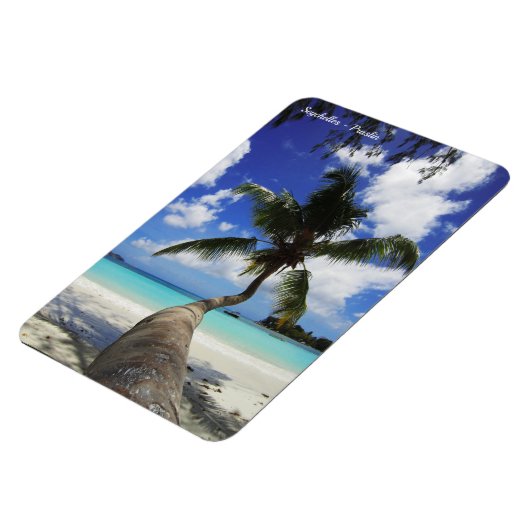 Palm op het eiland Seychellen, Praslin Magneet (Linkerzijde)