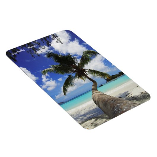 Palm op het eiland Seychellen, Praslin Magneet (Rechterzijde)