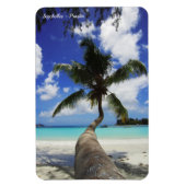 Palm op het eiland Seychellen, Praslin Magneet (Verticaal)