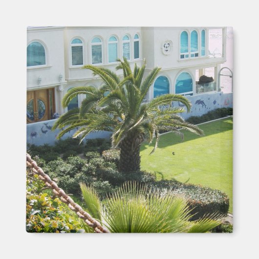 Palm op Oceanside CA Magneet (Voorkant)