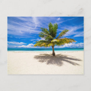 Palm op White Sand Beach Briefkaart