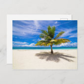 Palm op White Sand Beach Briefkaart (Voorkant / Achterkant)