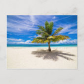 Palm op White Sand Beach Briefkaart (Voorkant)