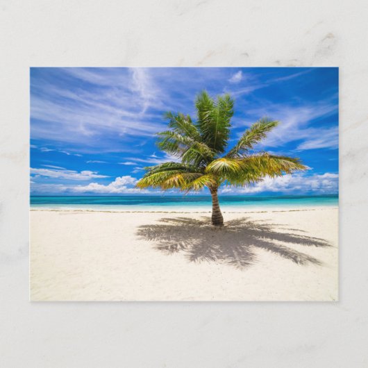 Palm op White Sand Beach Briefkaart (Voorkant)