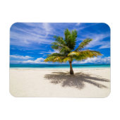 Palm op White Sand Beach Magneet (Horizontaal)