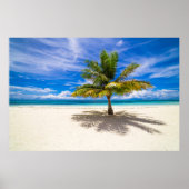 Palm op White Sand Beach Poster (Voorkant)