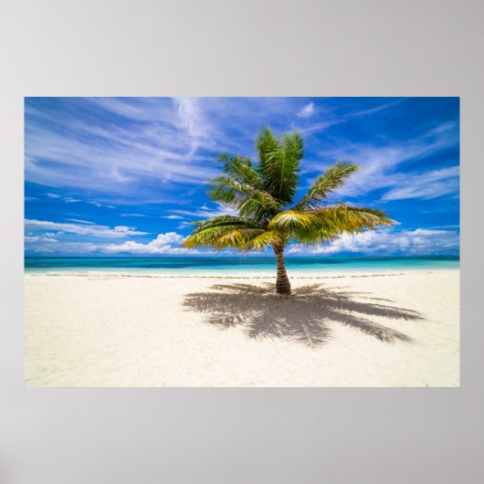 Palm op White Sand Beach Poster (Voorkant)