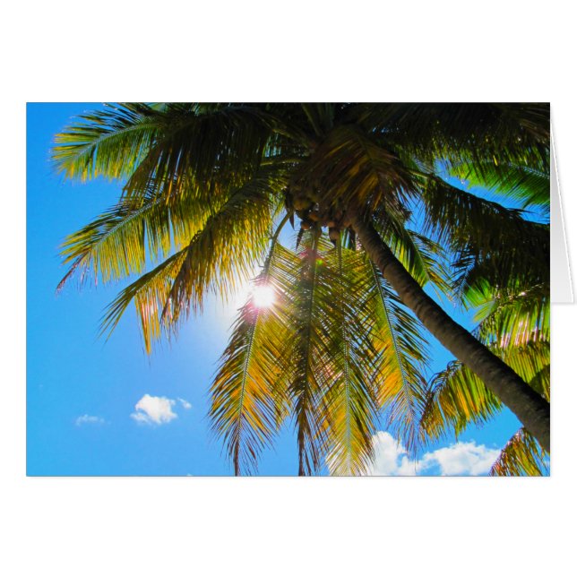 Palm Paradise Blue Sky Sunshine (Voorkant Horizontaal)