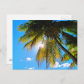 Palm Paradise Blue Sky Sunshine Briefkaart (Voorkant / Achterkant)