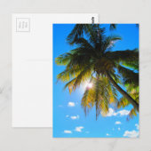 Palm Paradise Blue Sky Sunshine Briefkaart (Voorkant / Achterkant)