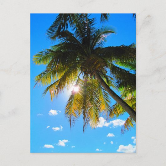 Palm Paradise Blue Sky Sunshine Briefkaart (Voorkant)