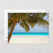 Palm Paradise Blue Sky Sunshine Briefkaart (Voorkant / Achterkant)