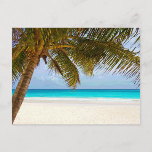 Palm Paradise Blue Sky Sunshine Briefkaart