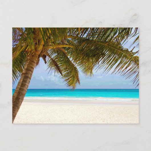 Palm Paradise Blue Sky Sunshine Briefkaart (Voorkant)