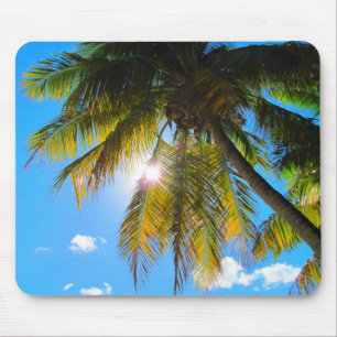 Palm Paradise Blue Sky Sunshine Muismat